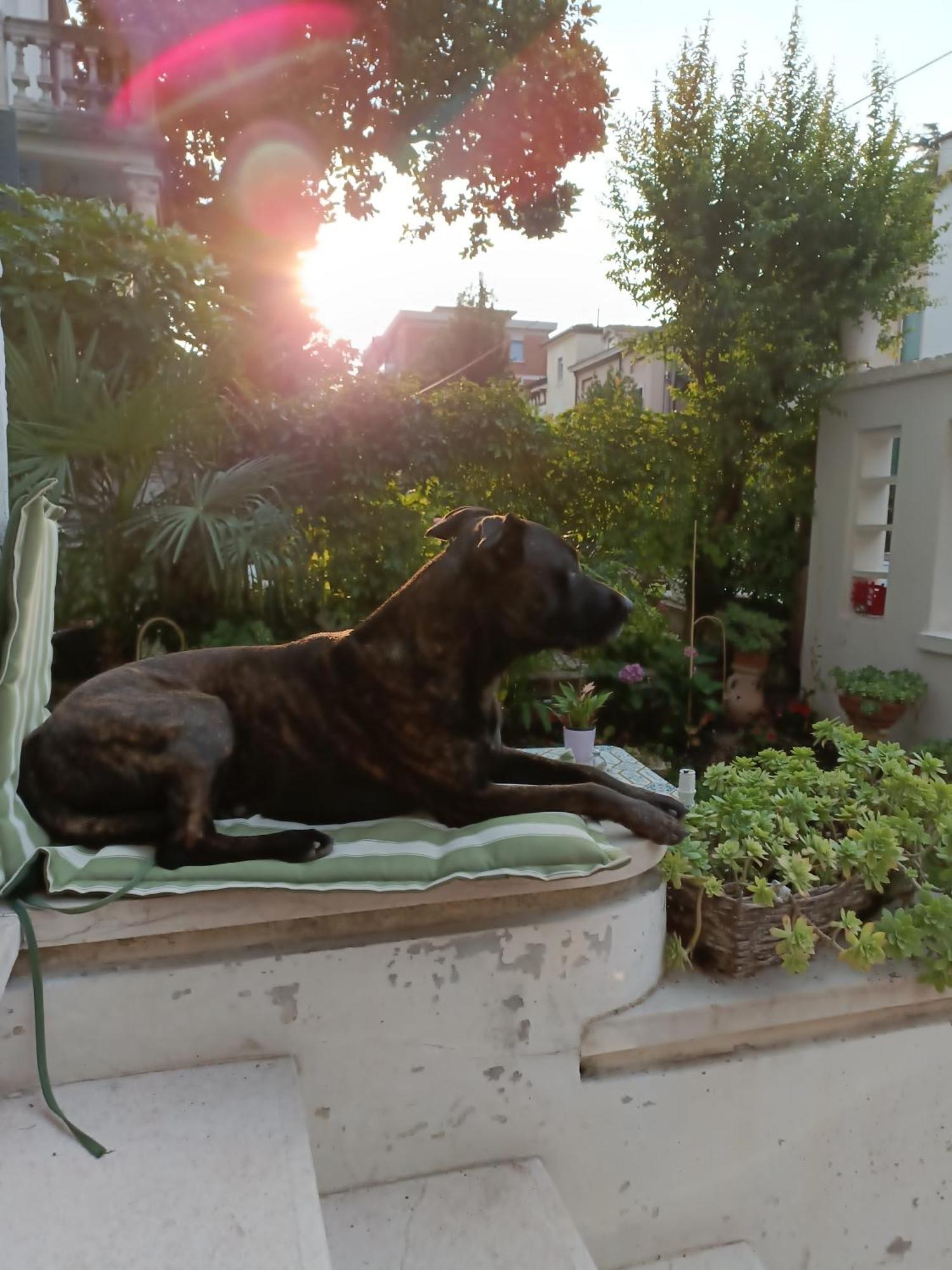 B&B Mavipagi Βερόνα Δωμάτιο φωτογραφία